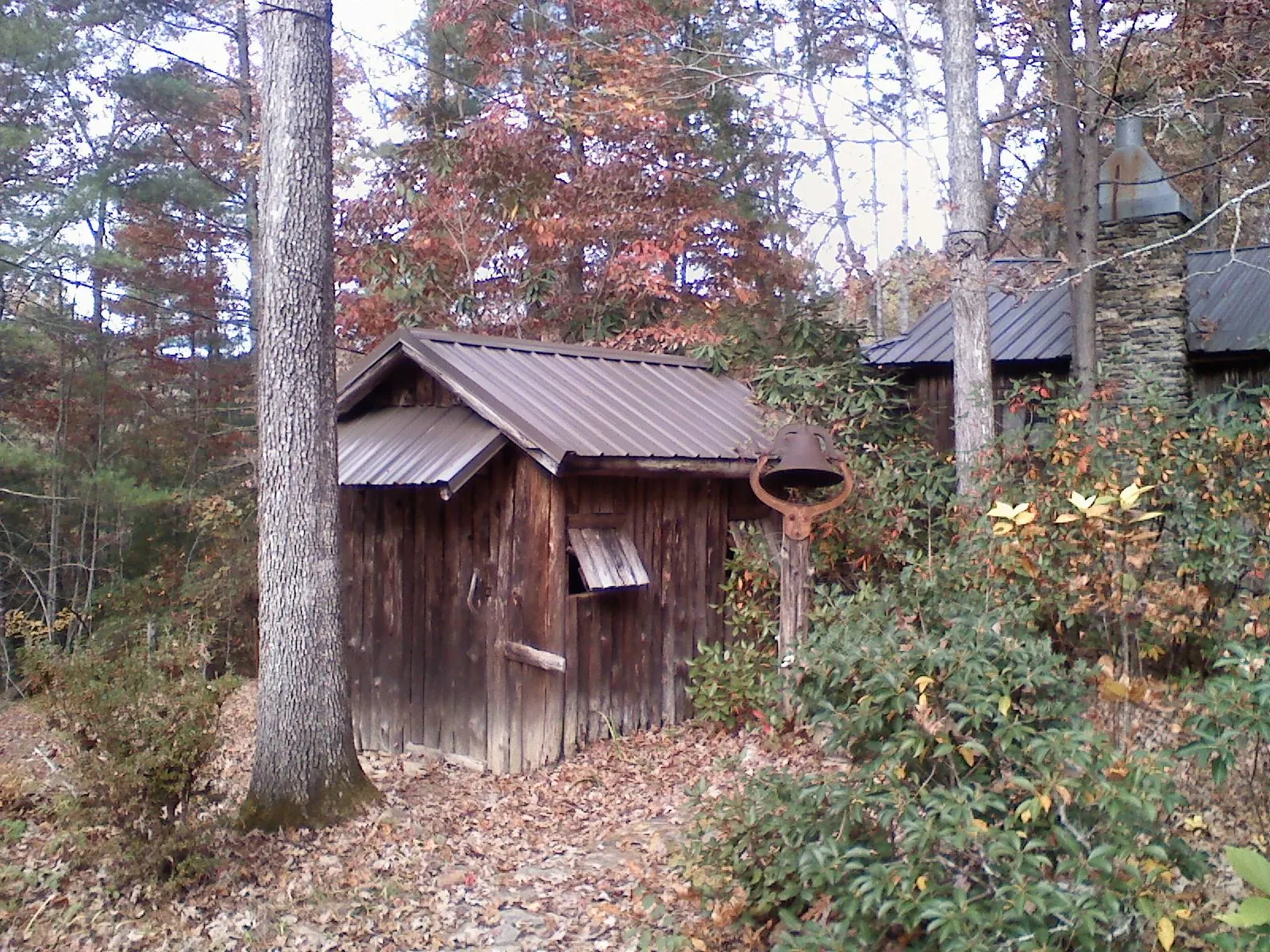 Small metal roof on a rough sawn shed in the woods in Colfax
